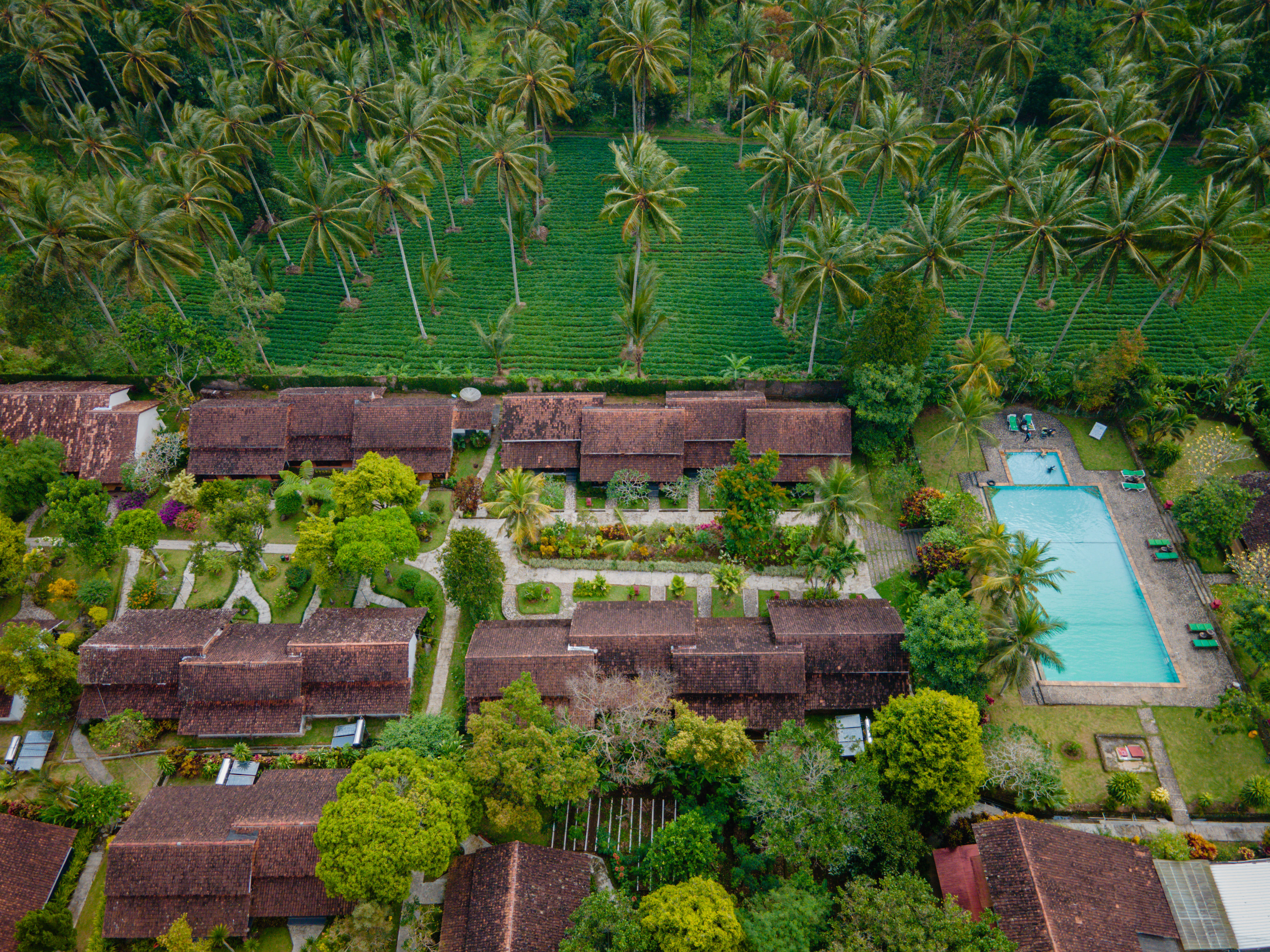 Eco Resort